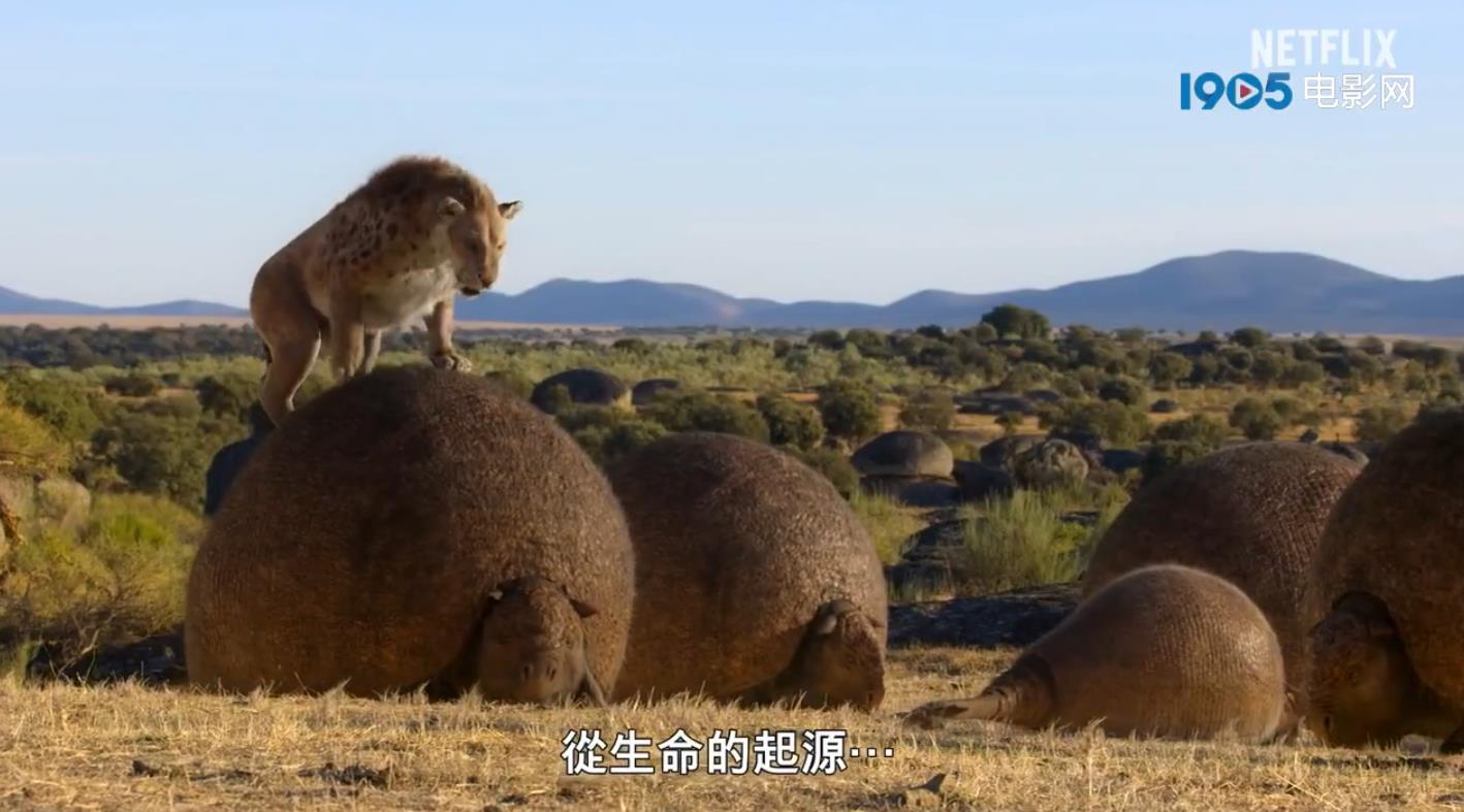 斯皮尔伯格监制纪录片发布预告 摩根·弗里曼旁白