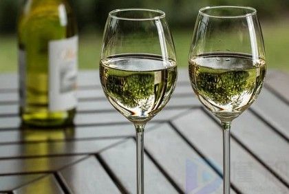 香槟酒的主要原料是什么果实