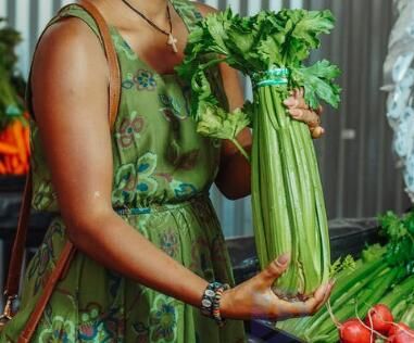 野菜的种类和大全