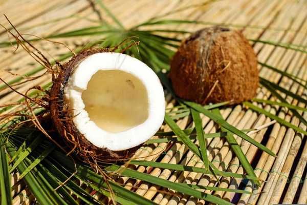 椰子油有哪些功效与作用禁忌