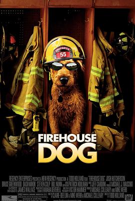 《消防犬》时长：120分钟剧情在线观看，共333字